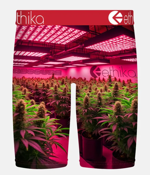 Ethika Big Motion Staple Mens Boxers - Image 2