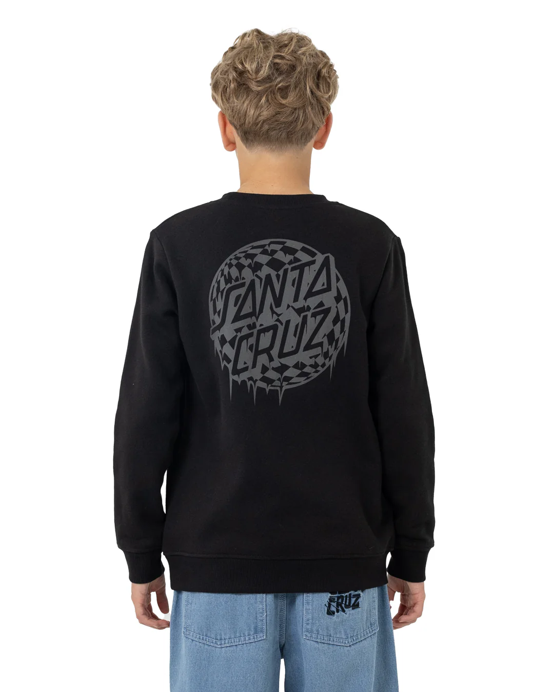 Santa Cruz Youth Check Waste Mono Reflect Sweater - Win25